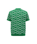 ANEW GOLF Men's SM  Logo Pattern Short Round Sleeve Sweater - Green