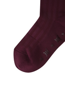 Women's Color Pop Knee Socks - Burgundy