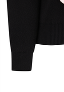 Women's Brush Logo Sweater - Black
