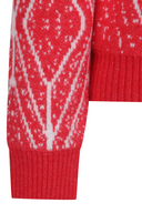Women's WI Fuzzy Logo Point Sweater - Red