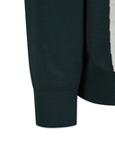 Men's Line Blocked Round Sweater - Dark Green